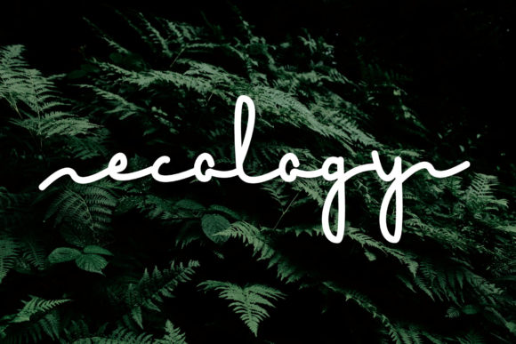 Ecology Font for Branding Projects