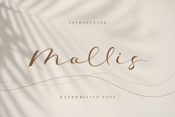 Exploring Mollis: A Script Font for Modern Branding