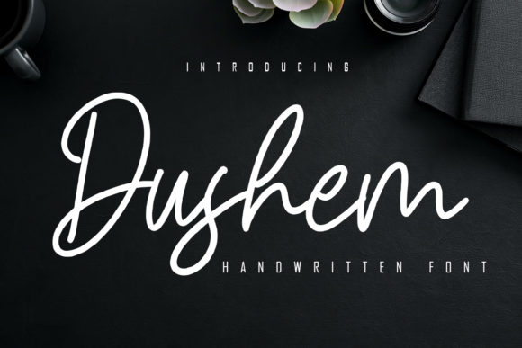 How Dushem Font Elevated My Brand's Visual Identity