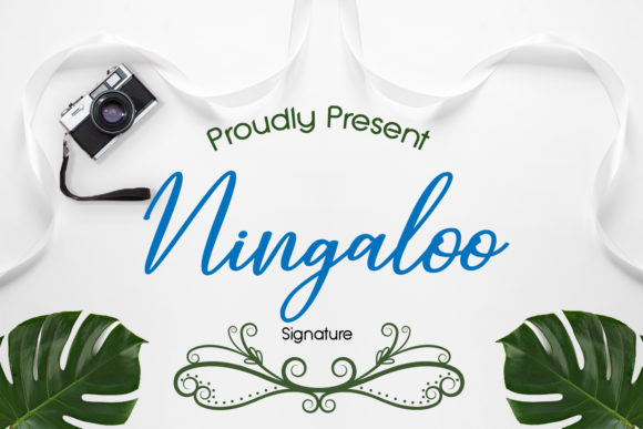 Ningaloo: A Handwritten Font with Editorial Grace