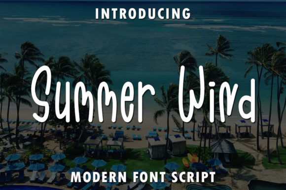 Summer Wind Font for Business Branding