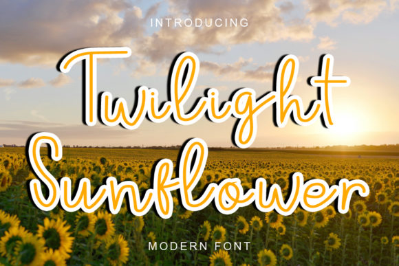 Twilight Sunflower: A Refined Script Font for Web Design